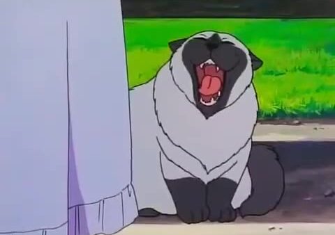 Episodio 15