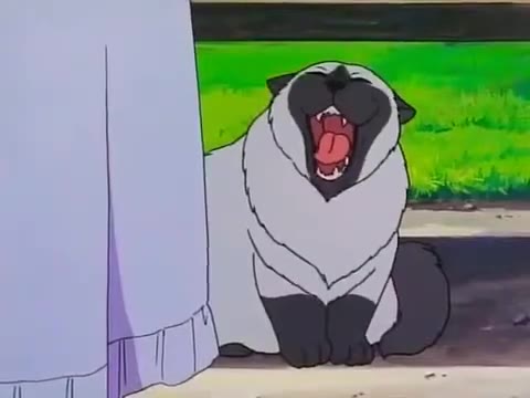 Episodio 15